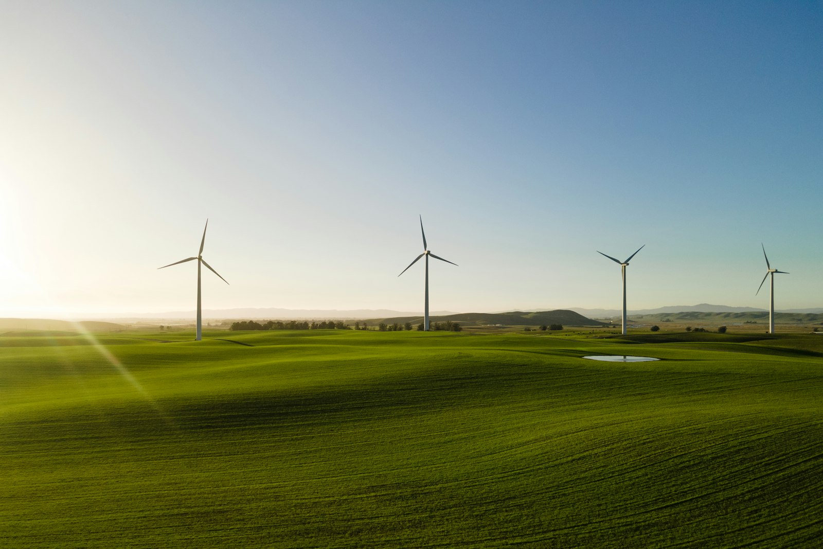 Wind turbines over a field